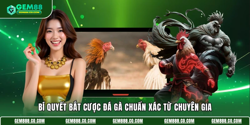  Bí quyết bắt cược đá gà chuẩn xác từ chuyên gia
