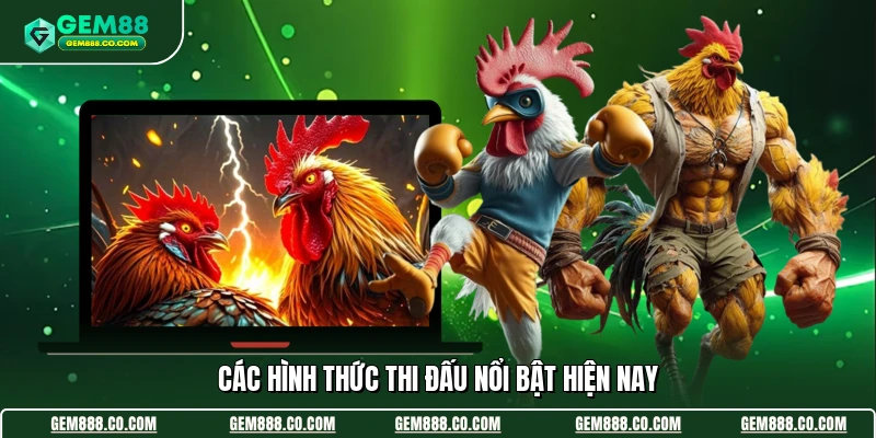 Các hình thức thi đấu nổi bật hiện nay