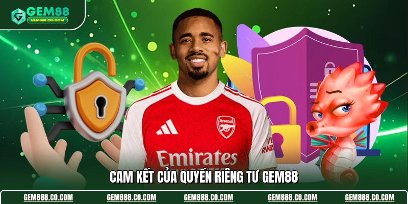 Cam kết của quyền riêng tư Gem88