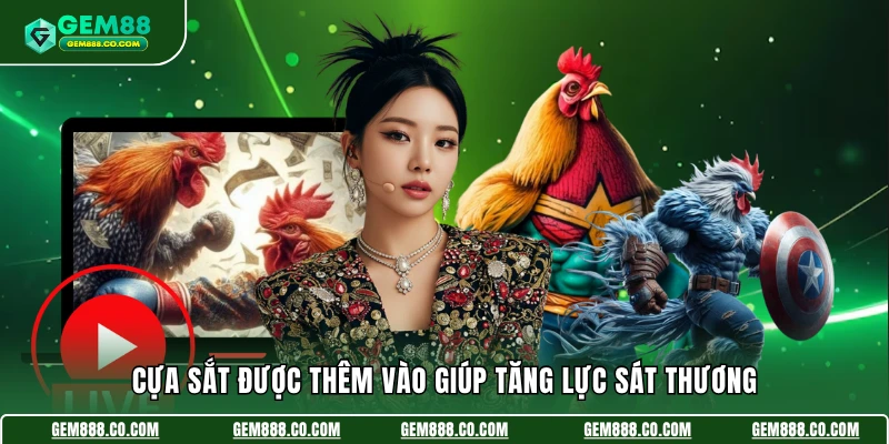 Cựa sắt được thêm vào giúp tăng lực sát thương
